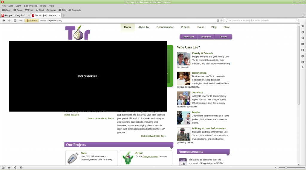 image of blacked out tor website